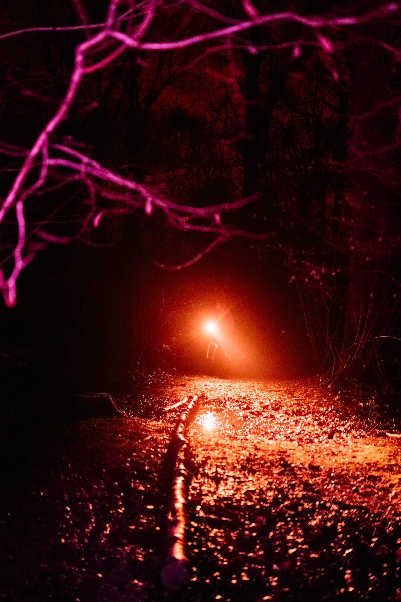 Série photo VTT bikepacking de nuit en technicolor