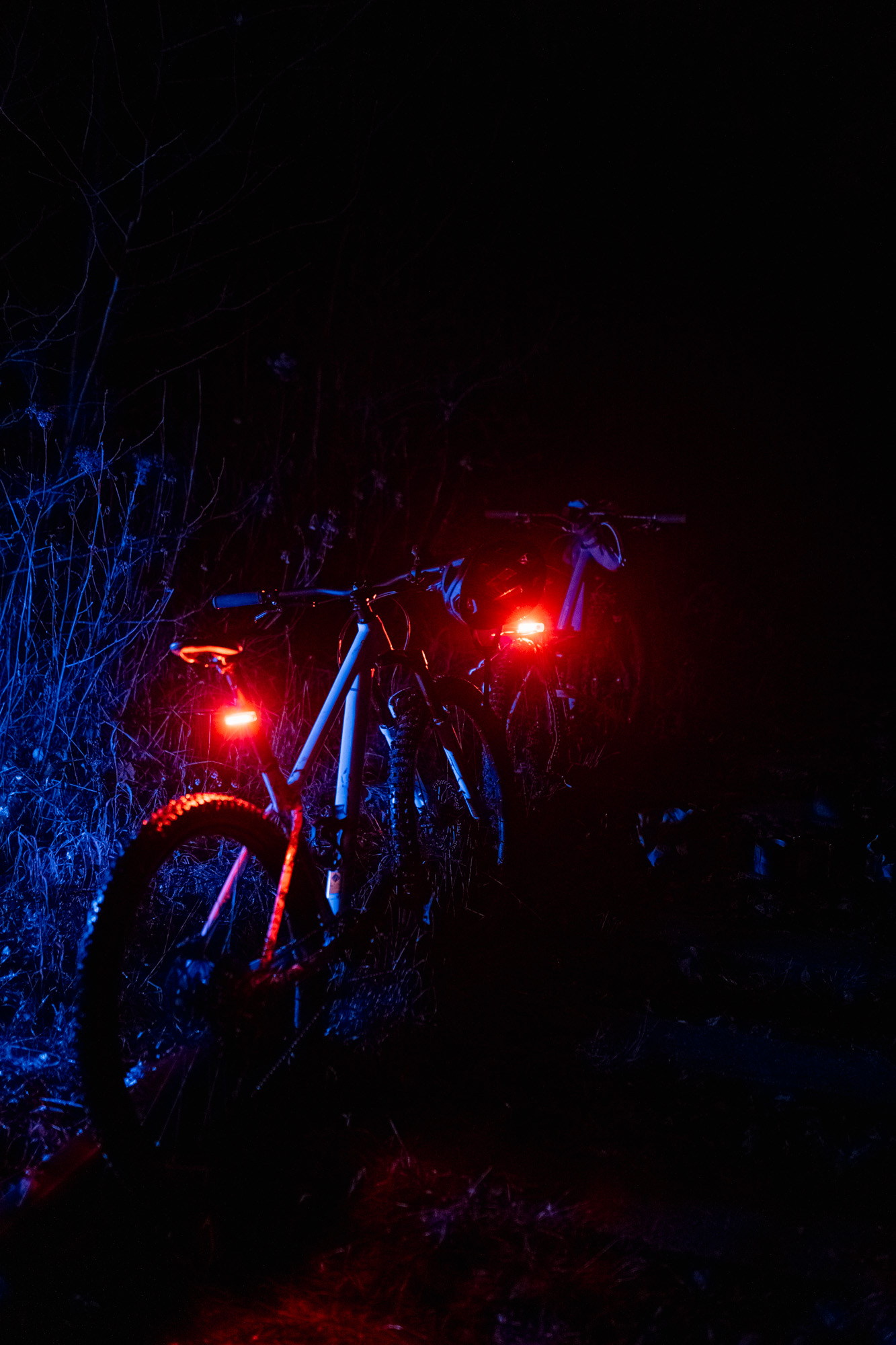 Série photo VTT bikepacking de nuit en technicolor