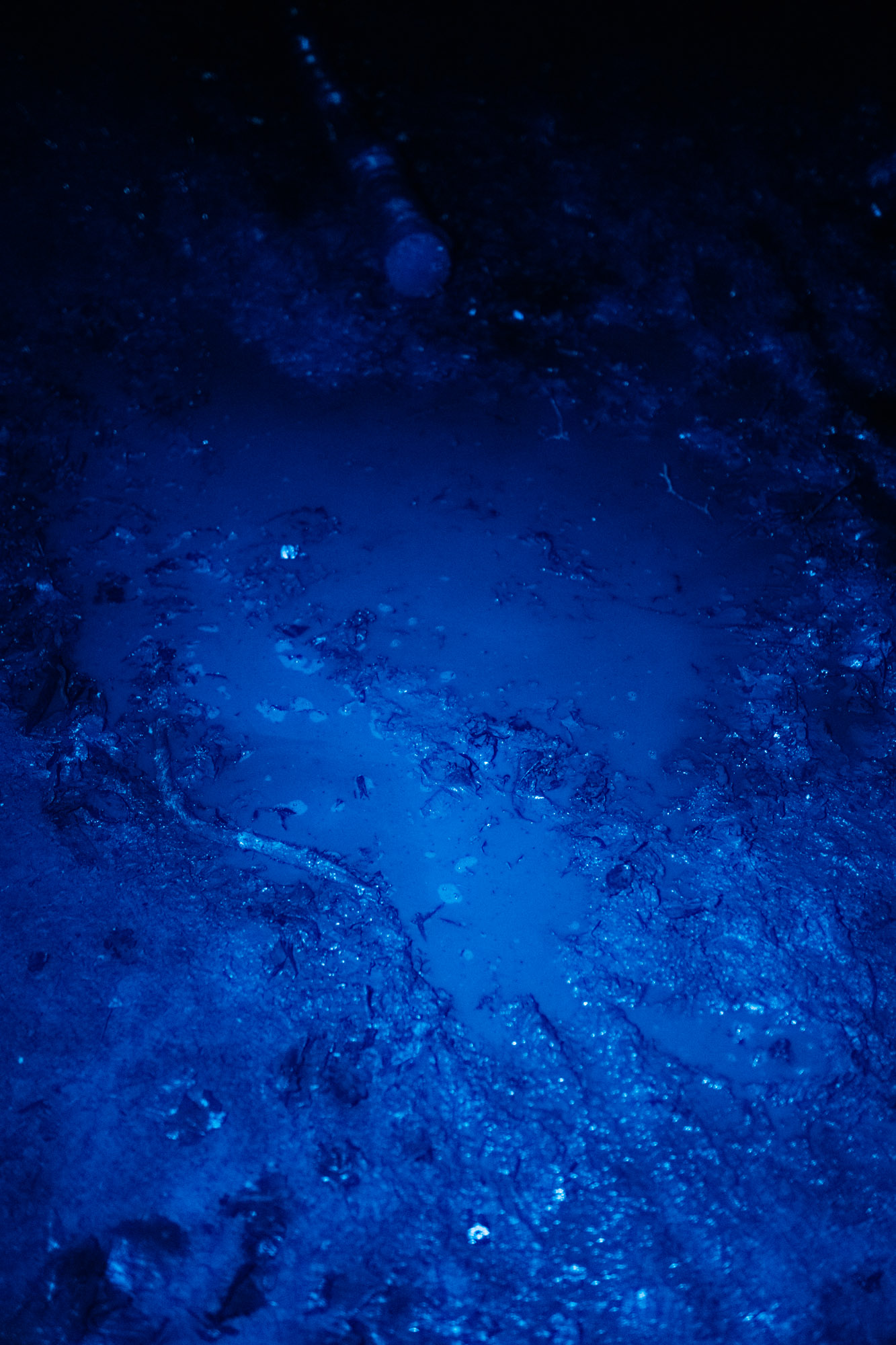 Série photo VTT bikepacking de nuit en technicolor