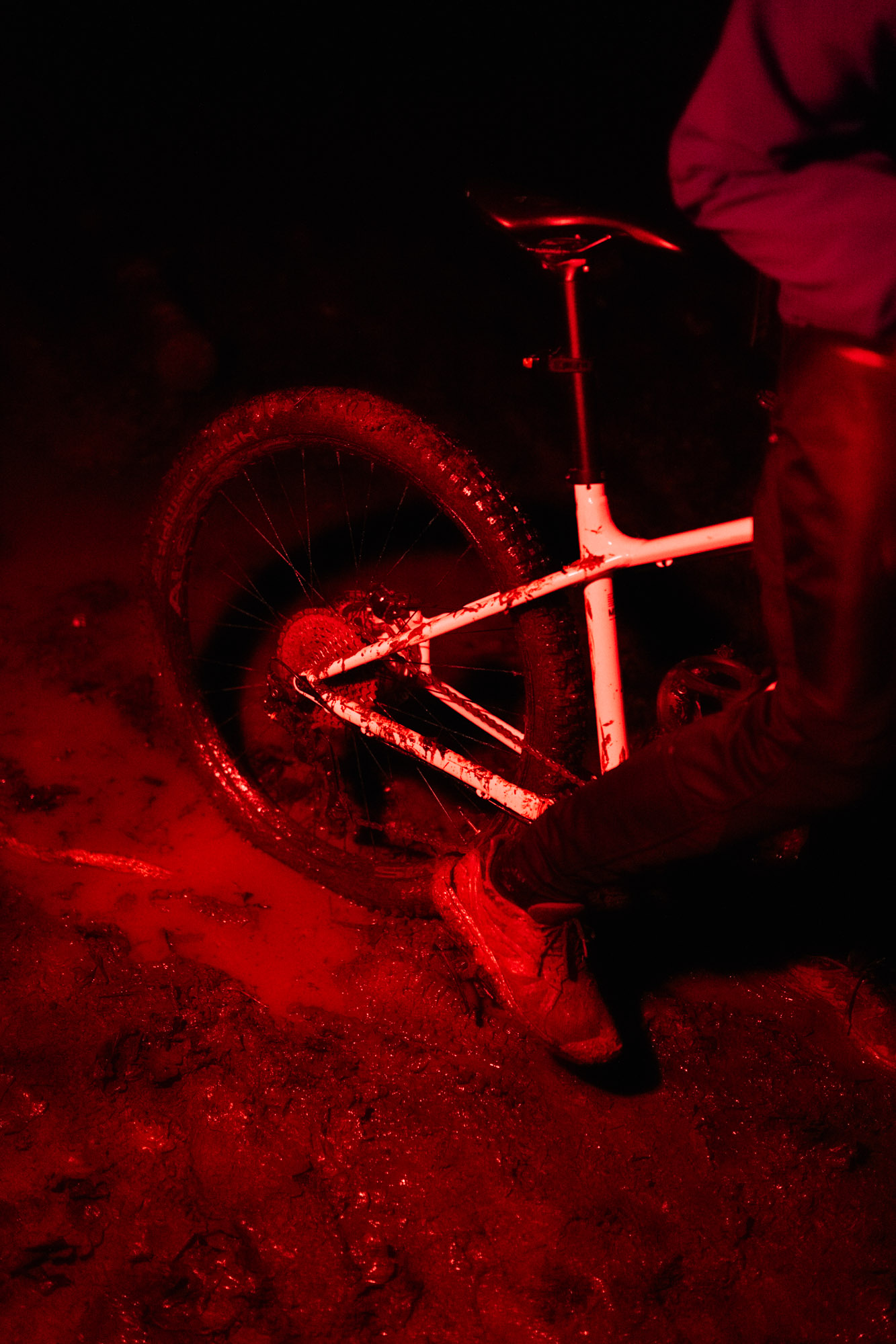 Série photo VTT bikepacking de nuit en technicolor
