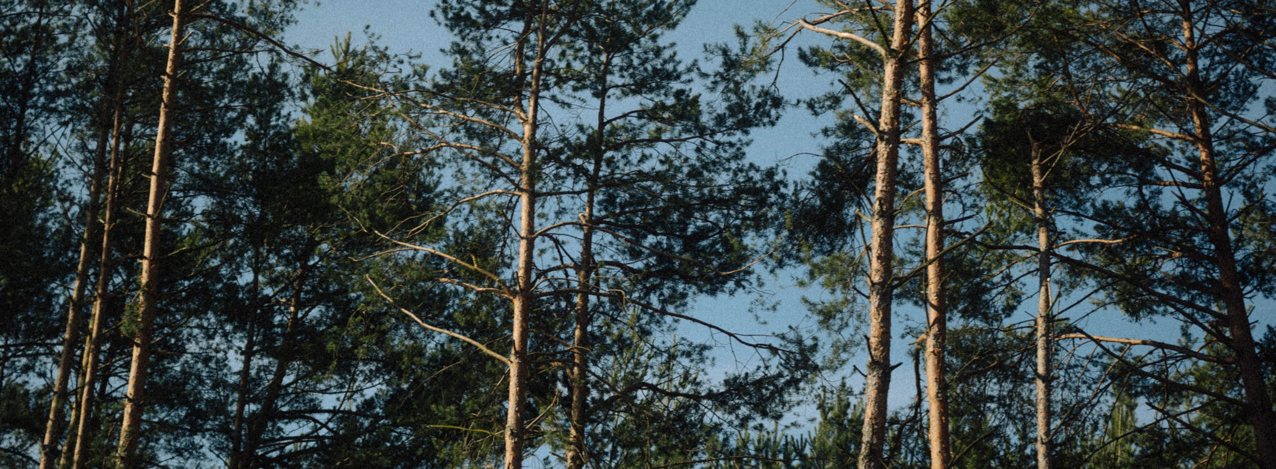 En passant par Bratislava