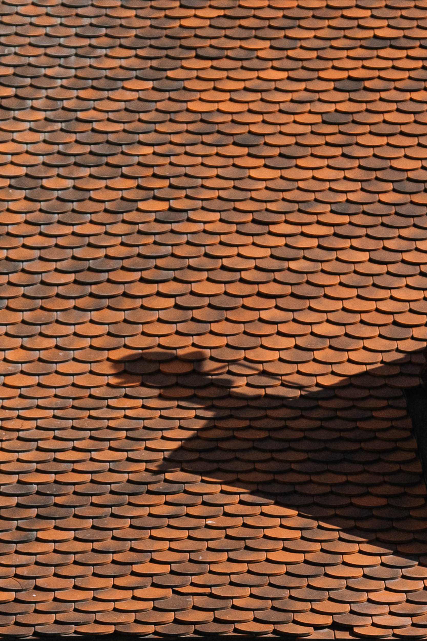 En passant par Bratislava