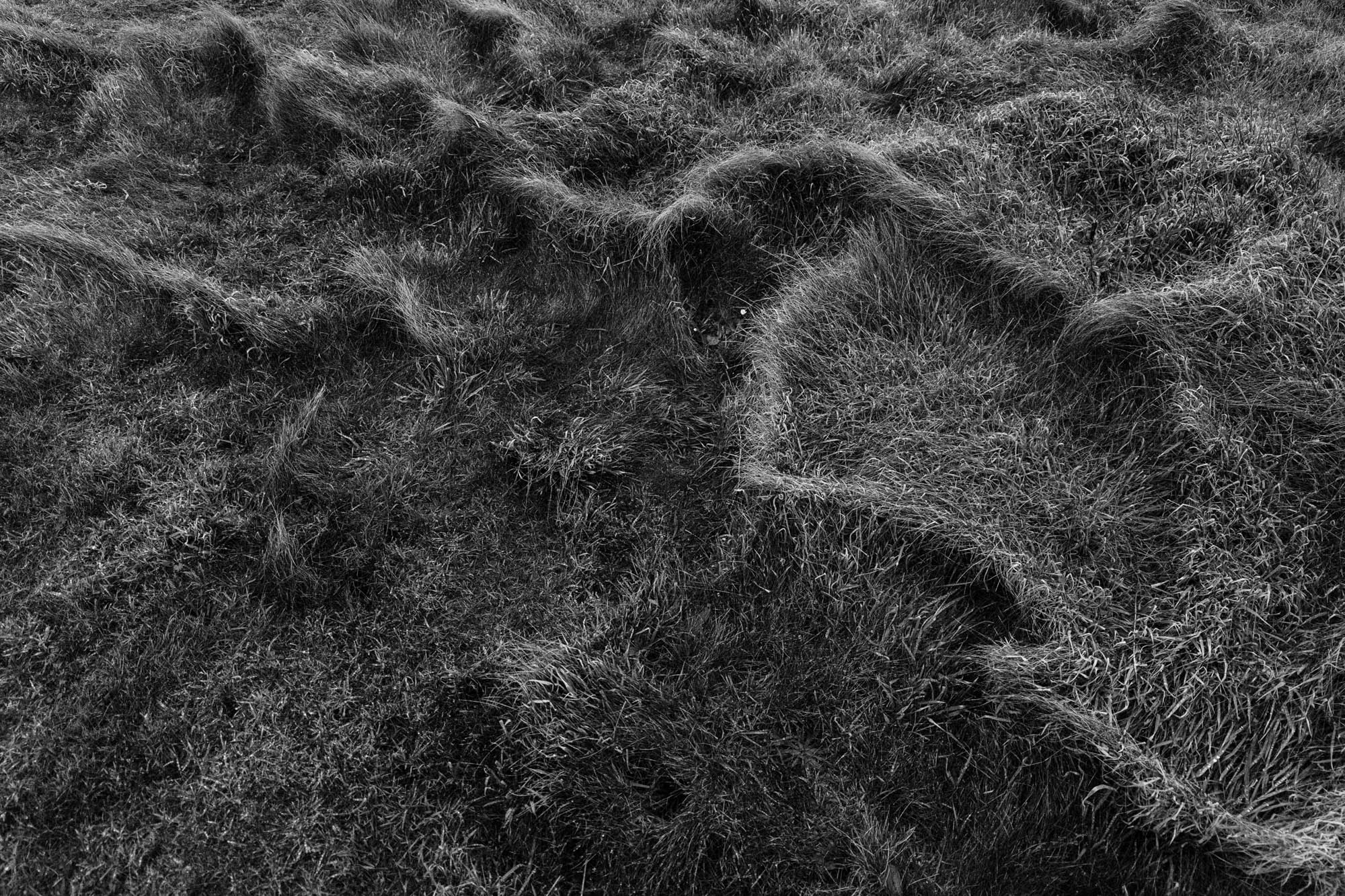 Une HP5 et de la brume
