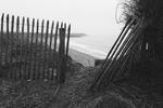Une HP5 et de la brume