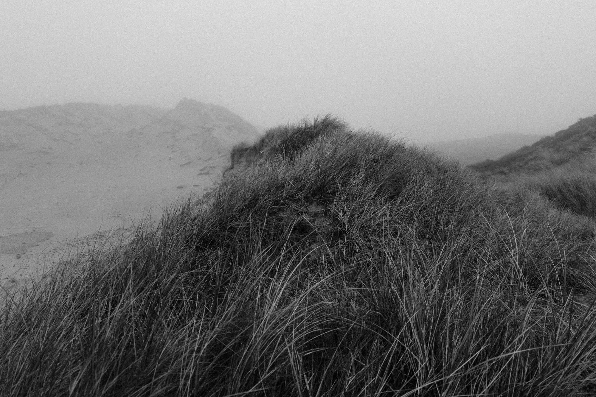 Une HP5 et de la brume