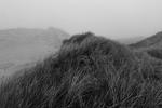 Une HP5 et de la brume