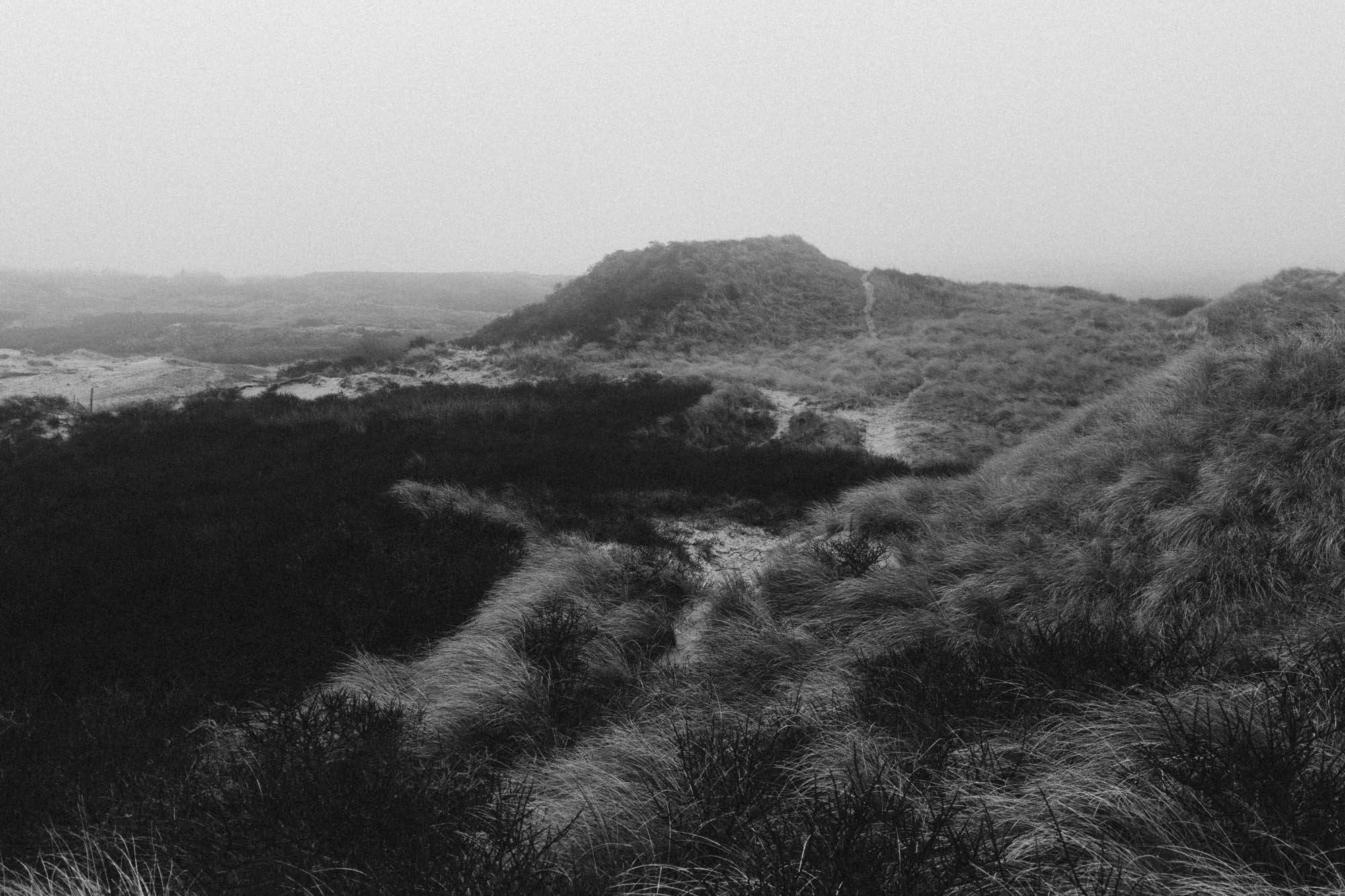 Une HP5 et de la brume