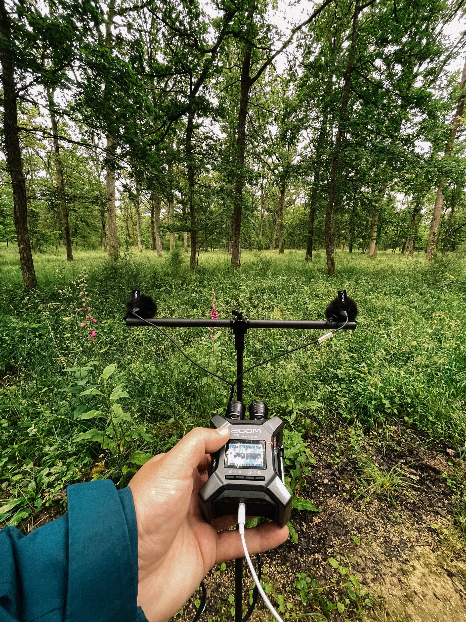 field recording à Chambord
