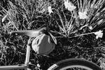 Solstice ride