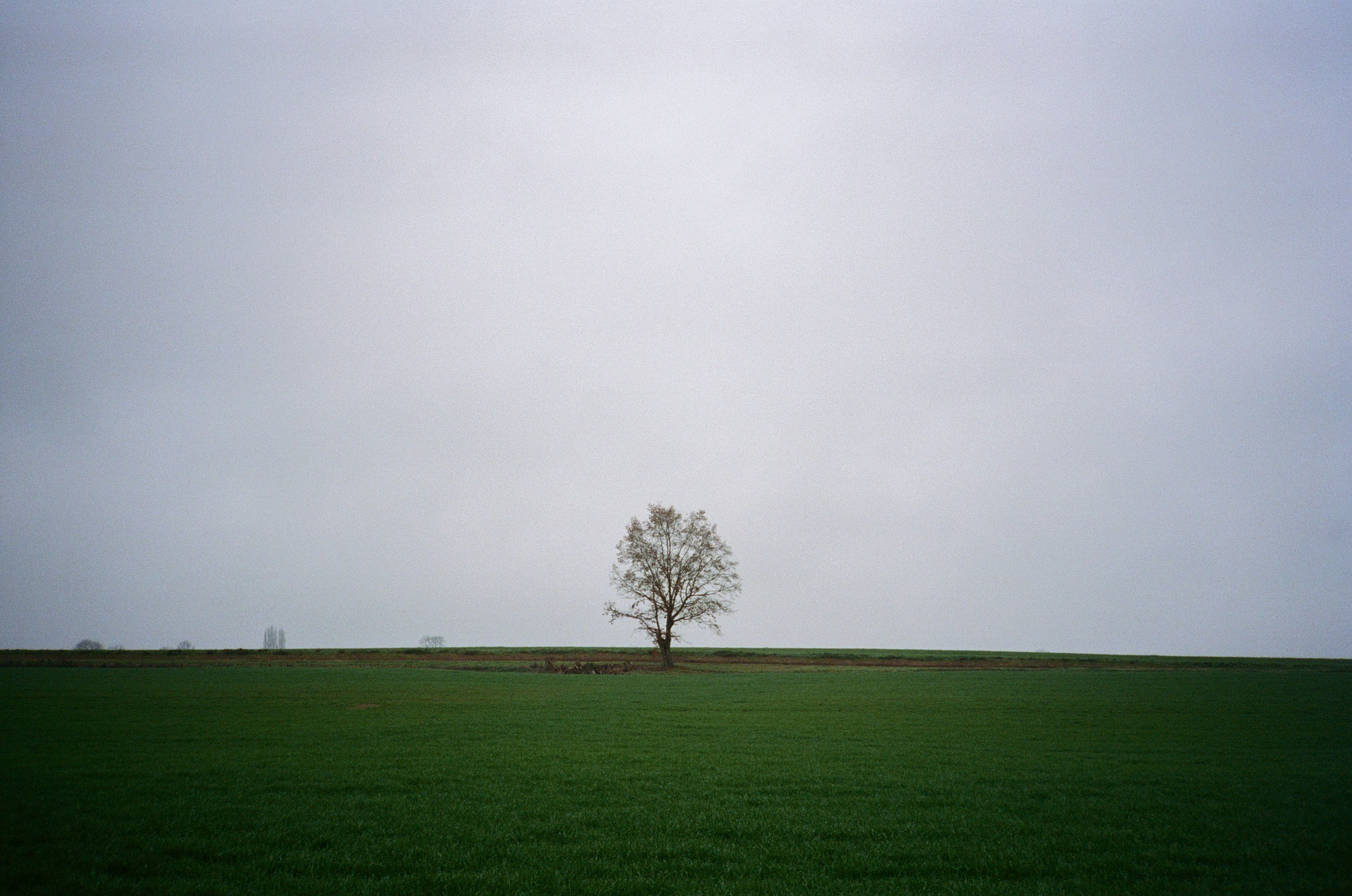 The Roll - série photo argentique - Jeremy Janin