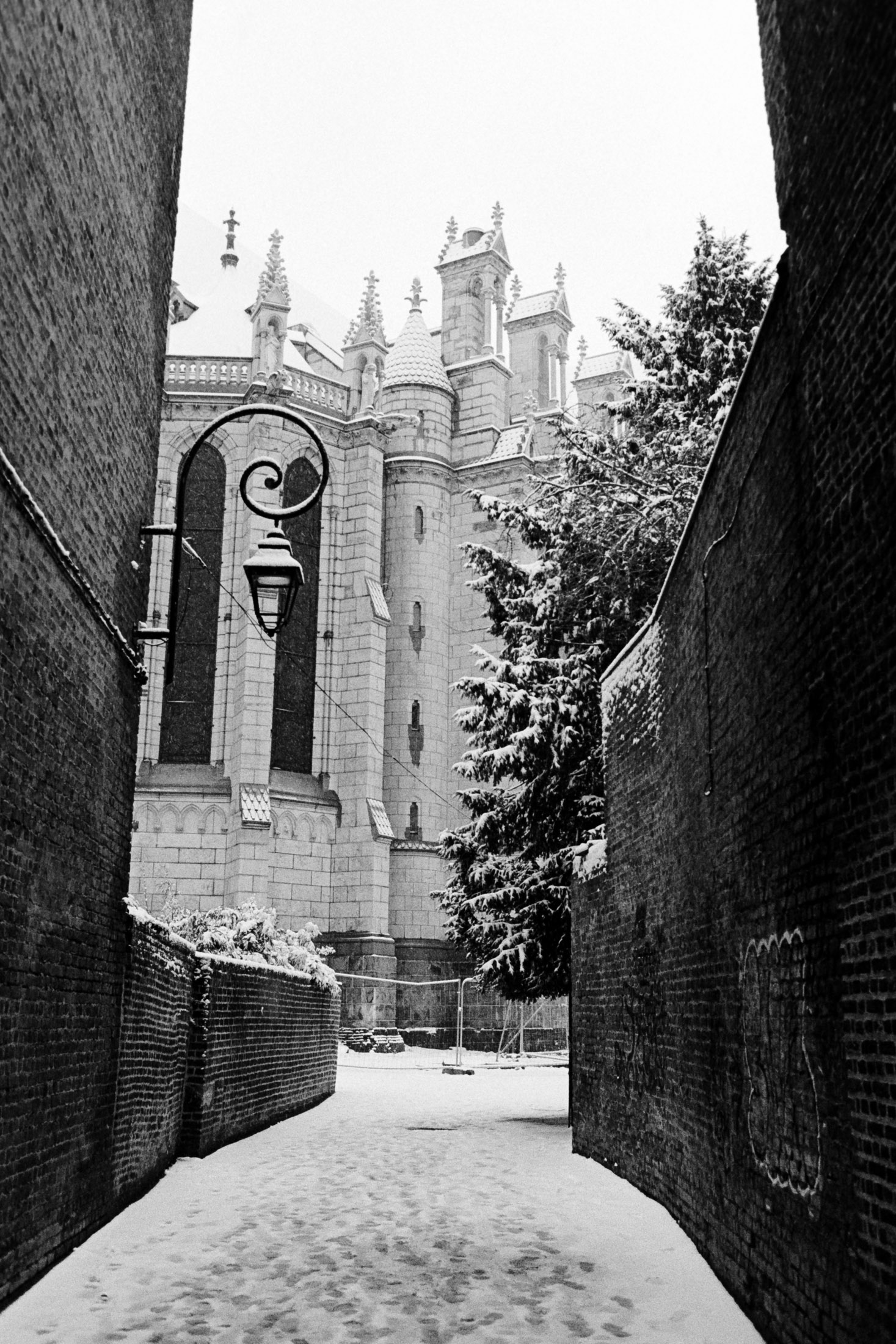 The Roll - série photo argentique - Jeremy Janin