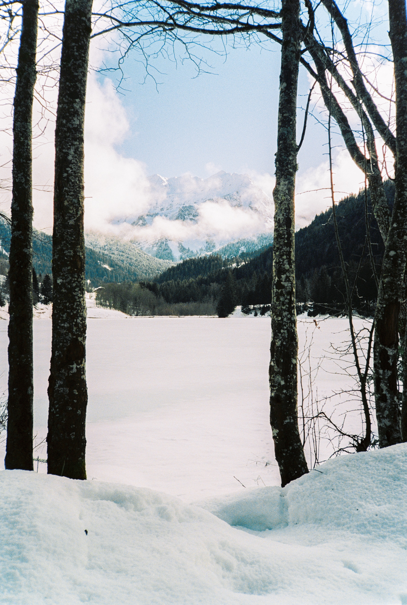 The Roll - série photo argentique - Jeremy Janin