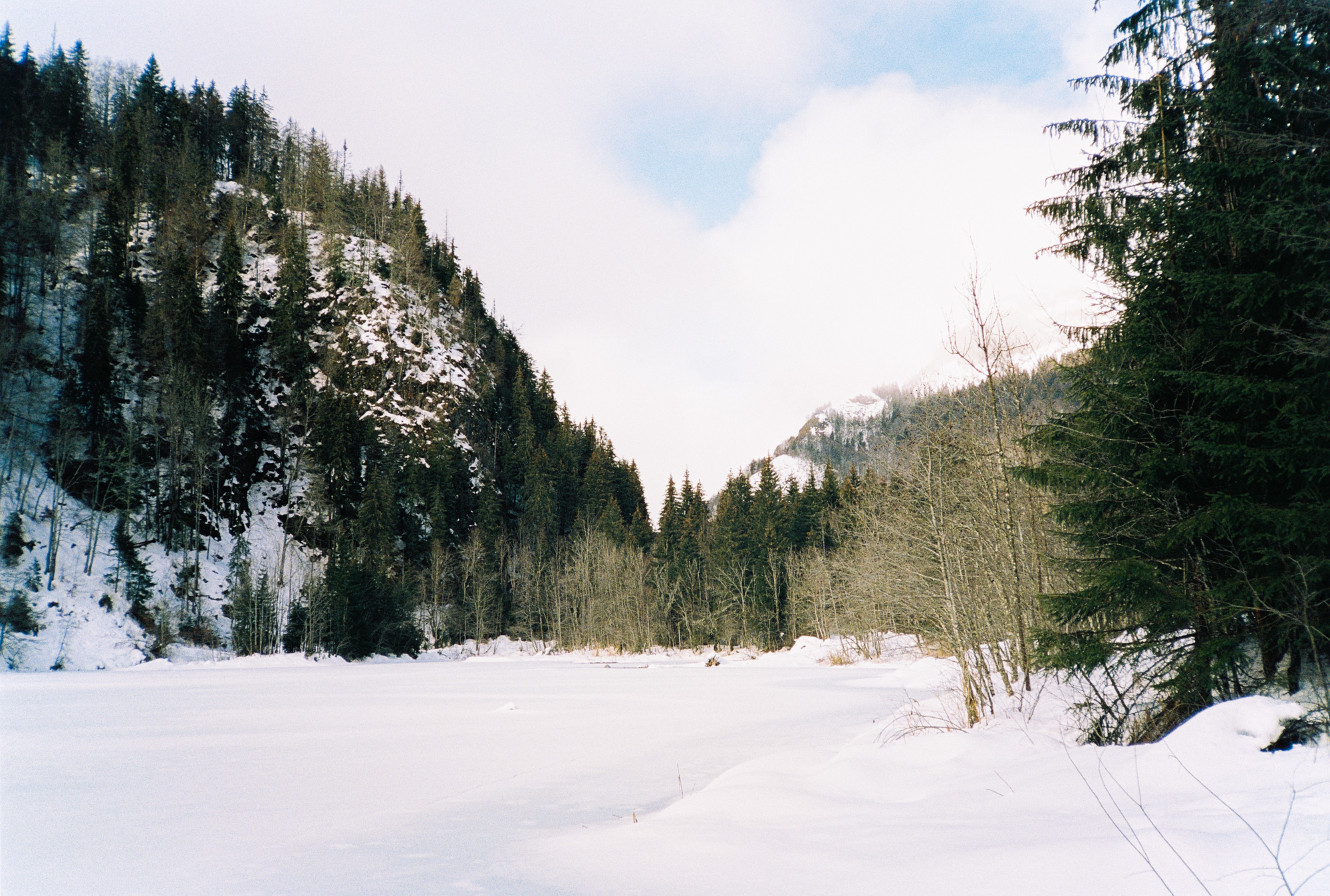The Roll - série photo argentique - Jeremy Janin