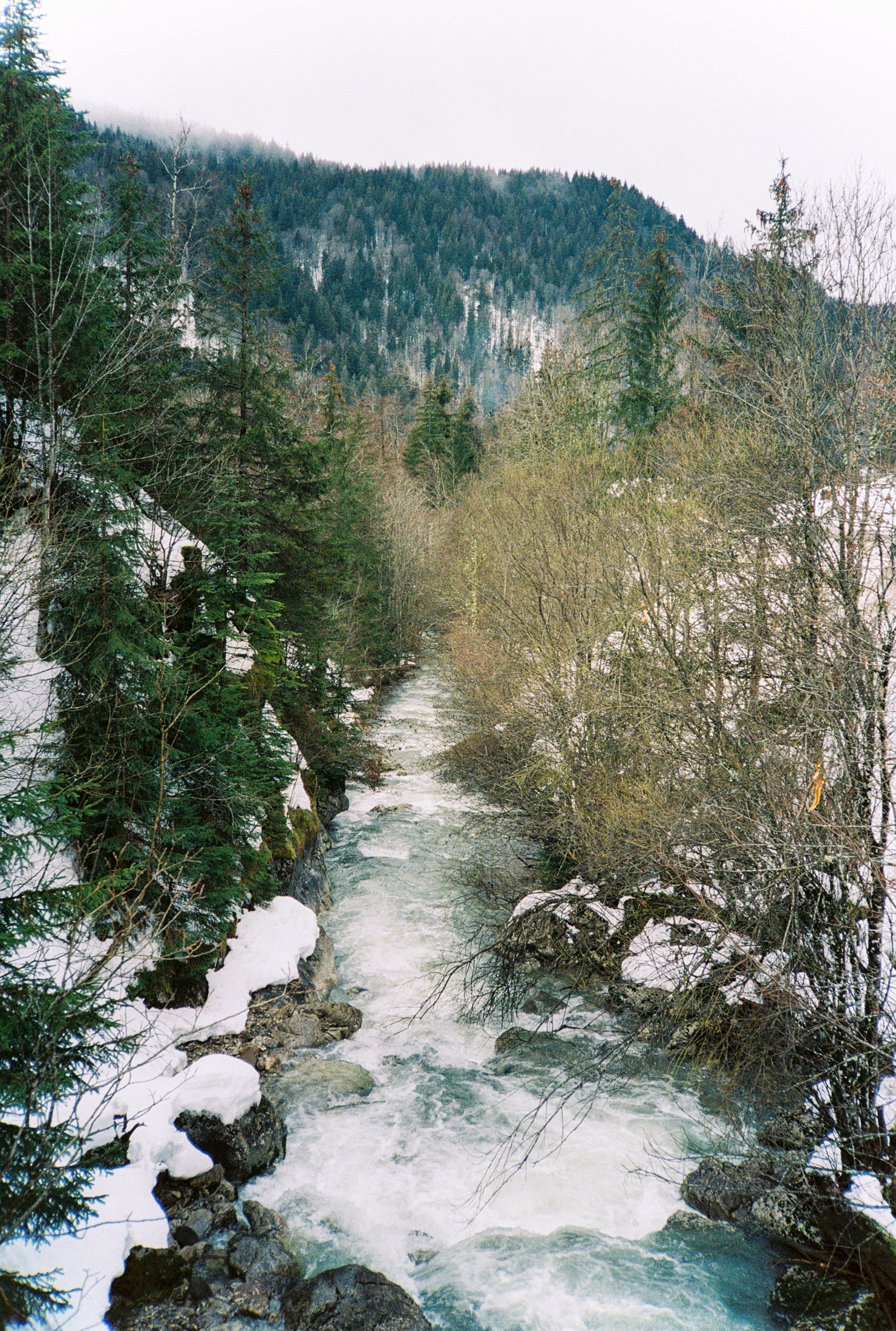 The Roll - série photo argentique - Jeremy Janin