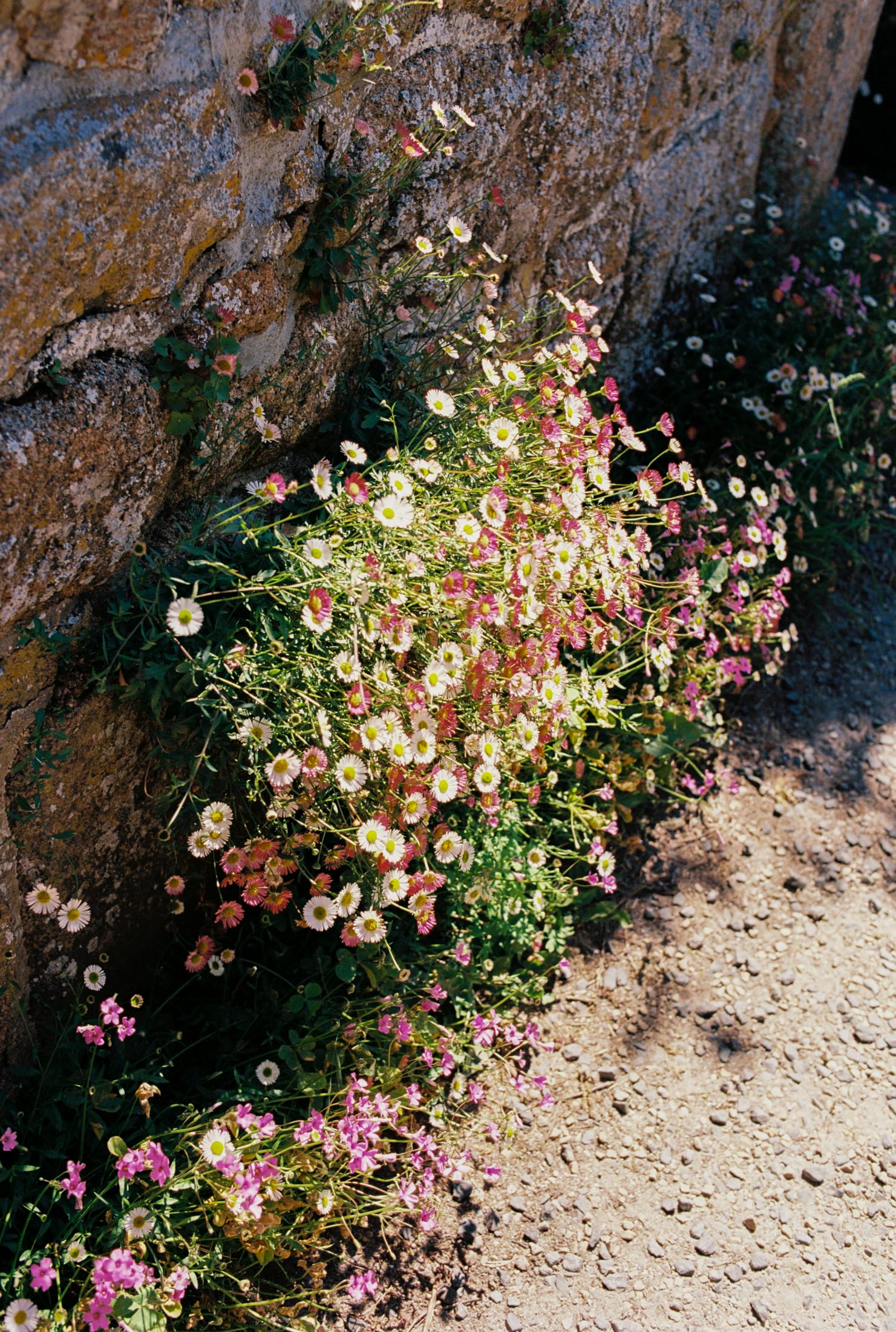 The Roll - série photo argentique - Jeremy Janin